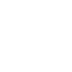 闪传